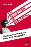 Die Revolution ist großartig (eBook, ePUB)