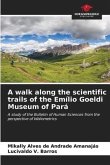 A walk along the scientific trails of the Emílio Goeldi Museum of Pará