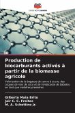 Production de biocarburants activés à partir de la biomasse agricole
