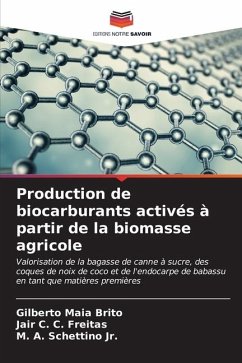 Production de biocarburants activés à partir de la biomasse agricole - Maia Brito, Gilberto;C. C. Freitas, Jair;Schettino, M. A.