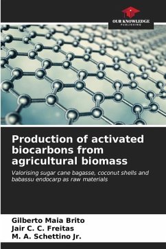 Production of activated biocarbons from agricultural biomass - Maia Brito, Gilberto;C. C. Freitas, Jair;Schettino, M. A.