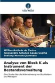 Analyse von Block K als Instrument der Bestandsverwaltung