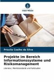 Projekte im Bereich Informationssysteme und Risikomanagement