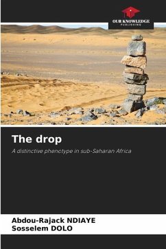The drop - NDIAYE, Abdou-Rajack;DOLO, Sosselem