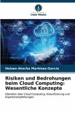 Risiken und Bedrohungen beim Cloud Computing: Wesentliche Konzepte