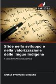 Sfide nello sviluppo e nella valorizzazione delle lingue indigene