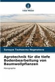 Agrotechnik für die tiefe Bodenbearbeitung von Baumwollpflanzen