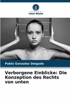 Verborgene Einblicke: Die Konzeption des Rechts von unten - Gonzalez Delgado, Pablo