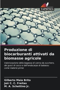 Produzione di biocarburanti attivati da biomasse agricole - Maia Brito, Gilberto;C. C. Freitas, Jair;Schettino, M. A.