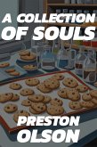 A Collection of Souls (eBook, ePUB)