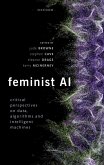 Feminist AI (eBook, ePUB)