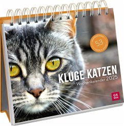 Wochenkalender 2025: Kluge Katzen - Schmoll, Kathrin