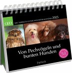 Postkartenkalender 2025: Von Pechvögeln und bunten Hunden