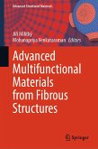 Advanced Multifunctional Materials from Fibrous Structures (eBook, PDF)