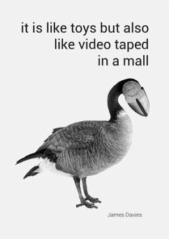 It Is Like Toys But Also Like Video Taped in a Mall - Davies, James