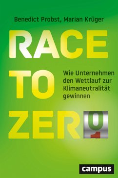 Race to Zero (eBook, PDF) - Probst, Benedict; Krüger, Marian