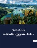 Sugli spettri prismatici delle stelle fisse