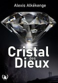 Cristal des Dieux (eBook, ePUB)