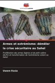 Armes et extrémisme: démêler la crise sécuritaire au Sahel