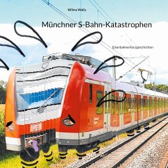 Münchner S-Bahn-Katastrophen (eBook, ePUB)