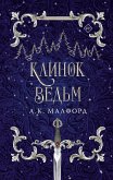 Клинок ведьм (eBook, ePUB)