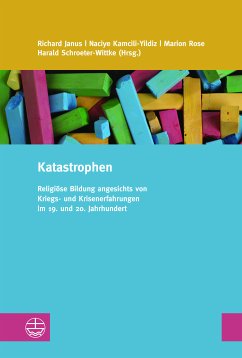 Katastrophen (eBook, PDF)