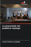 La precarietà nel pubblico impiego