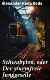 Schwabylon, oder Der sturmfreie Junggeselle (eBook, ePUB)