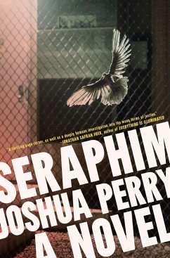 Cover Seraphim (eBook, ePUB)
