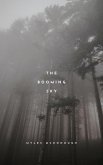 The Booming Sky (eBook, ePUB) The Booming Sky (eBook, ePUB)