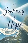 A Journey of Hope (eBook, ePUB)