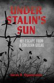 Under Stalin's Sun (eBook, ePUB)