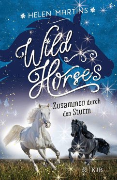 Zusammen durch den Sturm / Wild Horses Bd.2  - Martins, Helen