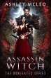 Assassin Witch (The Bonegates Series,... - Bild 1