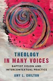 Theology in Many Voices (eBook, ePUB)