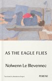 As the Eagle Flies (eBook, ePUB)