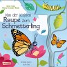 Von der kleinen Raupe zum Schmetterling - Bild 1