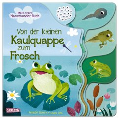 Von der kleinen Kaulquappe zum Frosch - Savery, Annabel