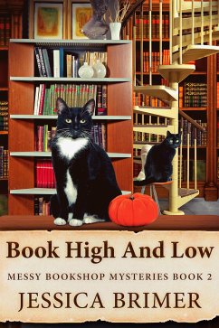 Book High And Low (eBook, ePUB) - Brimer, Jessica