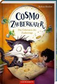 Der gestohlene Zauberring / Cosmo Zauberkater Bd.2