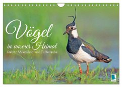 Vögel in unserer Heimat: Kiebitz, Wiedehopf und Turteltaube (Wandkalender 2024 DIN A4 quer), CALVENDO Monatskalender