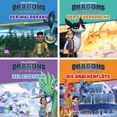 Maxi-Mini Box 44: Dragons: Die neun Welten (4x5 Exemplare)