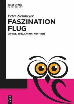 Faszination Flug - Neumeyer, Peter
