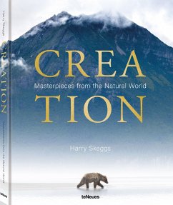 Creation - Skeggs, Harry