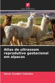 Atlas de ultrassom reprodutivo gestacional em alpacas