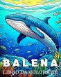 Balena Libro da Colorare - Bild 1