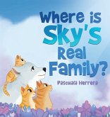 Where Is Sky's Real Family? Where Is Sky's Real Family?