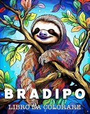 Bradipo Libro da Colorare