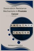 Doxorubicin Resistance Mechanisms in Prostate Cancer