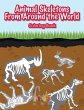 Animal Skeletons From Around the World... - Bild 1